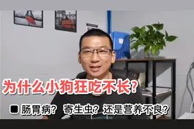 土狗养殖 为什么小狗狂吃不长肉 长不大什么原因？全面解答！！！视频封面
