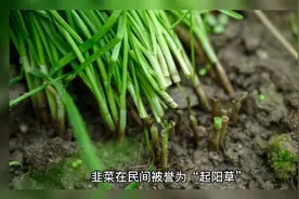 多吃韭菜真的能壮阳吗？视频封面