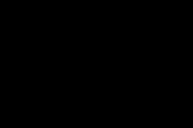快手极速版。大家也来试试吧