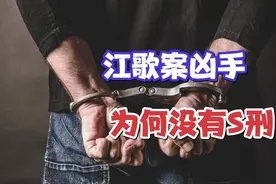 江歌案凶手没有判死刑，而是20年有期的原因视频封面