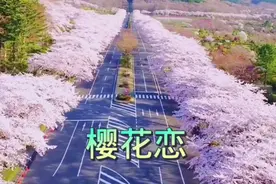 春天到来百花开视频封面