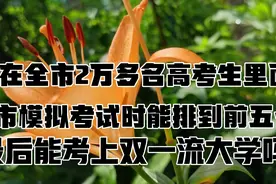 湖南小城市永州，全市模拟考试前50名的考生，有几成把握考上985视频封面