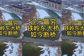 辽宁省铁岭市东大桥拆了，如今断桥.期待明年十月新大桥归来！视频封面