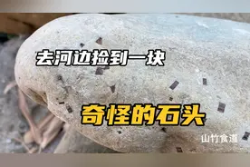农村小伙去河边捡到一块奇怪的石头，看看是不是发财了视频封面