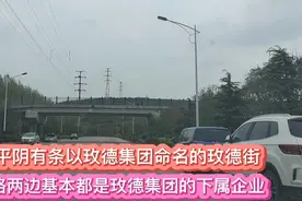 平阴有条以玫德集团命名的玫德街，玫德集团在平阴的地位太高了视频封面