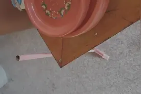 第5天 过经打扫 练法器