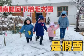 湖南隆回：突然下起鹅毛大雪，很多人说是假的，你看看真不真？视频封面