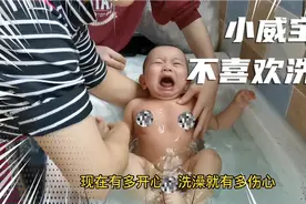 小威宝特别害怕洗澡，每次一洗澡就哭的撕心裂肺！视频封面