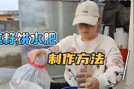 菜籽饼做水肥有方法，不但简单方便肥效好，而且快速发酵无臭味！视频封面