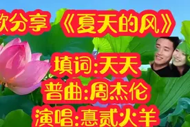 《夏天的风》吹来的是一种纯洁的爱情，简单而浪漫，令人回味无穷视频封面