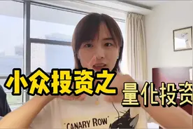 18年基金普跌25%，它逆势上涨12%！走近小众投资，有投资价值吗？视频封面