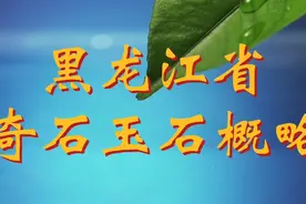 黑龙江省奇石玉石分布，国内唯一有国标的玛瑙就产自这里。