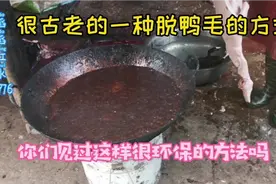 很环保的一种拔毛方式，从旧时代一直延用了几十年，你们见过吗视频封面