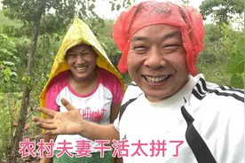 农村夫妻真搞笑，冒着大雨种庄稼，淋湿了也不忘在地里开心一下视频封面
