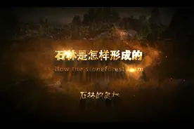石林是怎样形成的视频封面