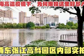 上海疫情下，浦东张江高科园区内部实拍！这个区域为何每天很多人视频封面