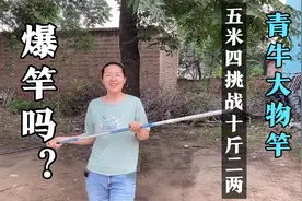 大物竿19调偏28调5h，针对青鱼草鱼鲢鳙三五十斤狂拉硬拽不犹豫。视频封面