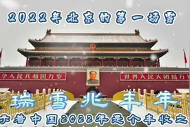 2022年北京迎来第一场雪《瑞雪兆丰年》预示着中国又是一个丰收年视频封面