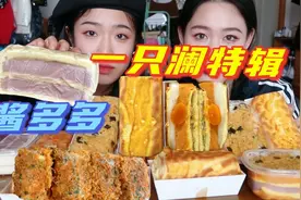 一次性入十款 一只澜酱多多系列 麻薯肉松咸蛋黄虎皮卷 碳水盛宴视频封面