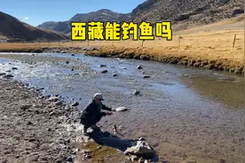 西藏能不能钓鱼，会有什么样的后果，切身经历告诉大家要尊重习俗视频封面