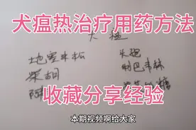 分享一个犬瘟热治疗方法！很简单的！没有你们说的那么难！视频封面