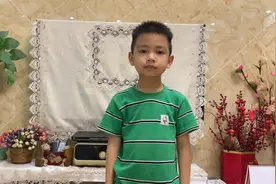 窗前的小鸟视频封面