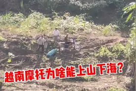 中越边境，越南人开着摩托车上山干活，为啥他们的摩托车这么牛？视频封面