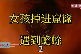 小女孩遇到危险不小心掉进窟窿，晚上在里面睡着了，却被蟾蜍吓醒视频封面