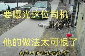 狗妈妈眼看着自己的小孩在自己面前失去，这司机太可恨了。视频封面