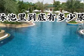 炎热的夏天，你喜欢游泳吗？但你知道泳池里呛一口水≈喝一滴尿吗视频封面