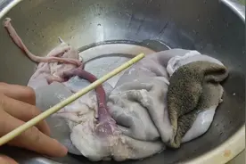 这个就是羊肚子，今天翻羊肚，看看小白怎么操作的。视频封面