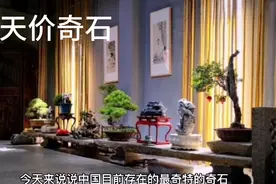 今天来说说中国六大天价奇石。视频封面