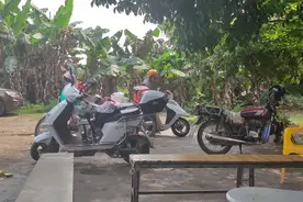 多人游泳 果泳先生老鄒又当众脱裤子果泳 哈哈 不怕小鸡给鱼吃了视频封面
