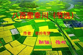 八百里秦川（节选）视频封面
