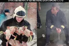 猪:“就你清高，就你圣洁，就你不食人间烟火”视频封面