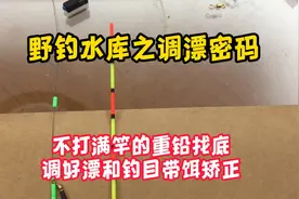 野钓水库之调漂密码：正确的重铅找底和带饵矫正横扫千军万马！视频封面