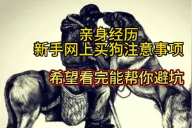 亲身经历：新手买狗注意事项，看完绝对帮你避坑！视频封面