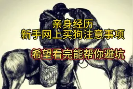 亲身经历：新手买狗注意事项，看完绝对帮你避坑！视频封面