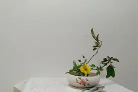 插花教学视频视频封面