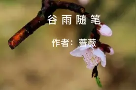 散文欣赏：《谷雨随笔》作者：蔷薇 诵读：仲玓视频封面