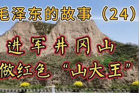 秋收起义受挫，停止攻城，毛泽东带领1500名工农革命军进发井冈山视频封面