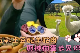 明明是土豆，吃起来却像肉！秘鲁五彩土豆配上羊驼肉，厨神服了！视频封面