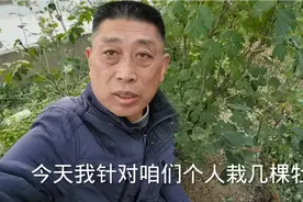 庭院里边牡丹冬季咋管理，不知道的风景无限给您讲视频封面