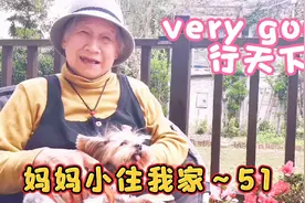 81岁上海老人戴上礼帽酷似某人，她说掌握一句英语可以行天下视频封面