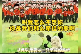 叫我怎么不想你，你是我们那么牵挂的熊啊
想念丫丫的第N天…视频封面