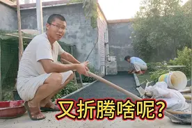 农家小院施工搞美化，家里铺上“柏油马路”？旧物利用省时省力！视频封面