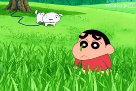 《蜡笔小新》小白带回家的小鸟哦视频封面