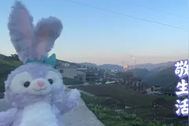 柳絮飘飞的四月，我在北京看到了可爱的他们#所见即所得视频封面