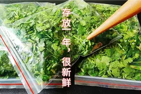 把香菜放入袋子中，存一年和新鲜的一样，随吃随取，这方法很好用视频封面