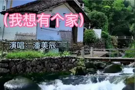 来一首潘美辰的，我想有个家，当我们痛苦沮丧的时候，好想有个家视频封面